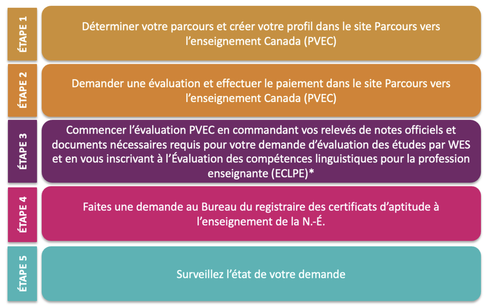 enseignant primaire tableau processus a suivre personne formee ne